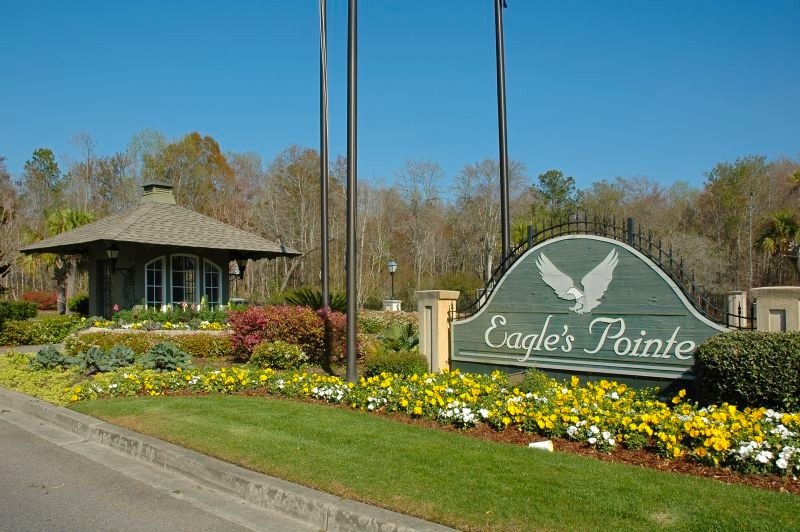 Eagle's Pointe real estate for sale